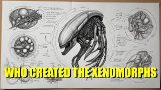 The 6 Different Xenomorph Origins Who Created Them [upl. by Aretse]