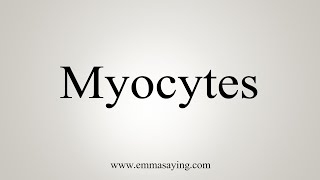 How To Say Myocytes [upl. by Anauqes]