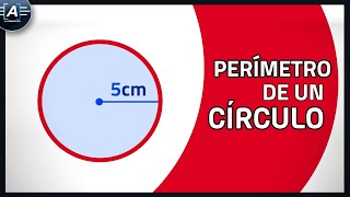 CALCULAR PERÍMETRO CÍRCULO Circunferencia  sacar perimetro circulo [upl. by Pfosi]