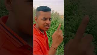 Tere Ishq Mein Naachenge Ravinder Roby Pratham Thakur  Shreya Pandey Raja Hindustani shorts [upl. by Liv416]