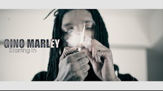 Gino Marley  Diego Pt 1 Official Video Shot By AZaeProduction [upl. by Naaman704]