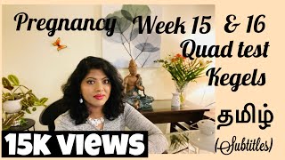 Pregnancy Week 15 Tamil  16 weeks pregnant in Tamil  Kegels Tamil  Quadruple Test Tamil [upl. by Hamrah]