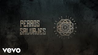 De La Tierra  Perros Salvajes Audio [upl. by Obidiah]