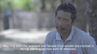 Indonesia Seaweed Farmer The Story of Adrianto Daitullah [upl. by Standing]