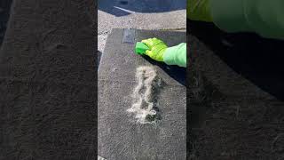 Dog hair removal from a car interior Mobile Car Valeting Kinsale [upl. by Trescha119]