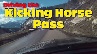 Kicking Horse Pass British Columbia Canada  DJI Osmo Pocket Footage [upl. by Ramar]