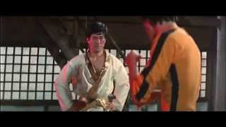 Part 2 Bruce Lee  Original Scene from Game Of Death [upl. by Lleda665]