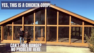 See Our Largest Chicken Coop  Cant Free Range No Problem This Coop Has it All [upl. by Einahpetse526]