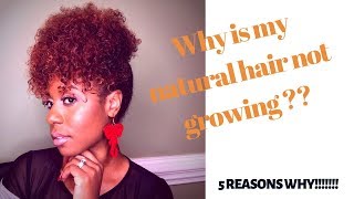 5 REASONS WHY YOUR HAIRS NOT GROWING [upl. by Bak]