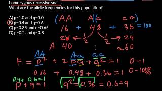 Two easy ways how to find alleles frequincies [upl. by Smada]