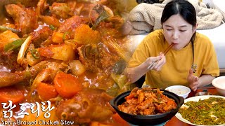 Real Mukbang Nofail quotBraised Spicy Chicken stewquot recipeㅣShrimpJeon Soju [upl. by Nosreffej]