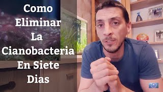 🔵 Como Eliminar La Cianobacteria De Nuestro Acuario En 7 Días Acuarios MB [upl. by Esinned]