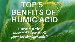 Humic Acid uses in agriculture [upl. by Guillema]