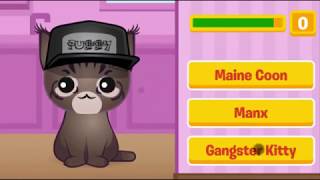 Guess The Kitty Game Walkthrough  This game is not for kids [upl. by Aninad]