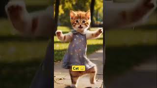 Cute Cat Dance ❤️Cute kitten cat lovecats catscatvideos kittens catlover princesscatkitten [upl. by Adda177]