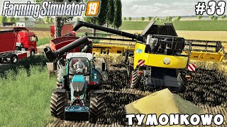 Harvesting triticale making straw pellets  Tymonkowo Farm  Farming simulator 19  Timelapse 33 [upl. by Aalst943]