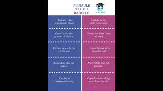 Difference between Plumule and Radicle Mscbscscience [upl. by Clerissa653]