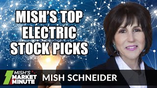 Mishs Top Electric Stock Picks  Mish Schneider  Mishs Market Minute 120420 [upl. by Katsuyama]