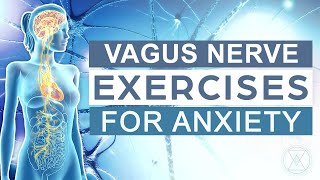 Vagus Nerve Exercises For Anxiety  Rewire Your Brain  Vagus Nerve Massage  Grounding Tools [upl. by Baxie529]