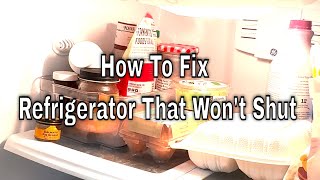 How to Fix a Refrigerator Door That Isn’t Shutting Properly [upl. by Eseela687]