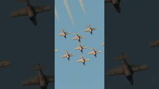 The best showing of the Canadian Snowbirds part 1 [upl. by Suiravad887]