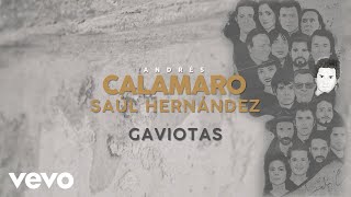 Andrés Calamaro Saúl Hernández  Gaviotas Lyric Video [upl. by Hirasuna]