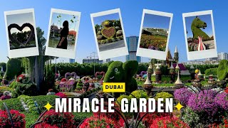 While in Dubai we took the opportunity to visit Dubai’s Miracle Garden and it was worth our time [upl. by Territus597]