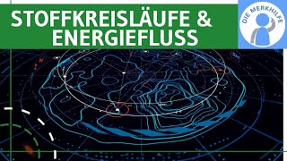 Stoffkreisläufe amp Energiefluss  Begriffe Prozesse biochemisch geochemisch biogeochemisch u a [upl. by Sumetra]