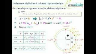 Synthèse dUne Minute  Transformer un complexe  TS  TES [upl. by Aerdnaek]