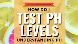 How Do I Test My pH Levels Understanding pH [upl. by Jollanta]