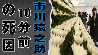 市川猿之助の現在の様子に涙！心も体もボロボロ…市川猿之助の本当の死因に涙…！ [upl. by Alroi375]