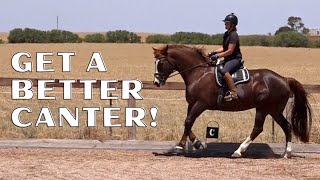 How To School A Horse To Improve The Canter [upl. by Lattonia]