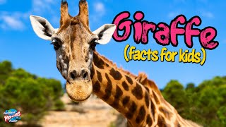 Giraffes For Kids  10 facts about the world’s tallest animal [upl. by Oakie]