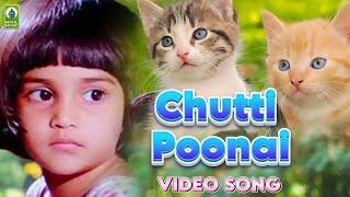 Chutti Poonai Movie Songs  Jukebox  Baby Shalini  Mayil Music [upl. by Sesmar628]