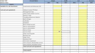 Budgeted Balance Sheet and Cashflow [upl. by Pittman]