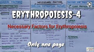 Erythropoiesis4Necessary Factors for Erythropoiesis [upl. by Aredna395]