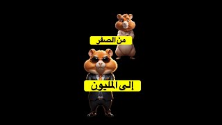 شرح كامل لكل ماتحتاجه للعب هامستر كومبات Hamster Kombat [upl. by Kizzie]