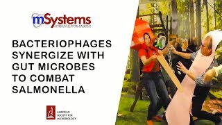 Bacteriophages Synergize with the Gut Microbial Community To Combat Salmonella [upl. by Razatlab]