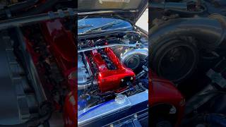 GTR Festival New Zealand🔥gtr skyline r31 r32 r33 r34 nissanskyline viral shorts youtube [upl. by Yddet]