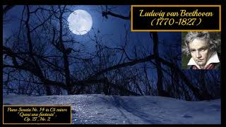 quotMoonlightquot Piano Sonata No 14 in C♯ minor First Movement Ludwig van Beethoven [upl. by Evelc]