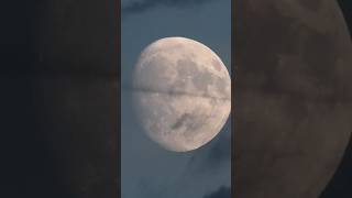 Supermond shorts shortvideo vollmond supermond night moon supermoon [upl. by Nnylaj]