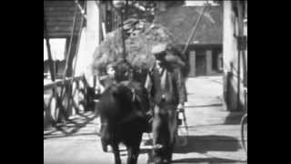 boerderijleven parrega 1953avi [upl. by Ila]