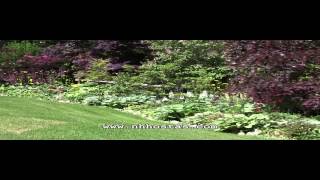 Take A Hosta Garden Tour In New Hampshire [upl. by Llebyram489]