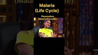 Malaria 🤣 funny neet biology [upl. by Adnawt742]