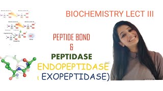 PEPTIDE BONDPeptidaseEndopeptidaseExopeptidaseCSIRNETGATEDBTICMRJAMBiochemistryLecture 3 [upl. by Yntirb]