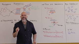 Aula 2  Membrana plasmática Meios e tipos básicos de transportes [upl. by Refeinnej]