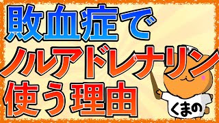 イラストで学ぶ医学！「敗血症の治療でノルアドレナリンが第一選択薬な理由とは？」アドレナリンとノルアドレナリンの違いや作用機序は？ [upl. by Abehsile]