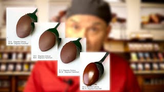 Tempering Chocolate The Seeding  Injection Method [upl. by Bari233]