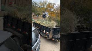 Trash compactor at work createyourownhappiness yardwork gooutside funny [upl. by Hertzog]