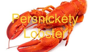 Persnickety Lobster 🦞  Original Song by Judge Timbers [upl. by Mcnully]